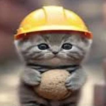 cat the builder